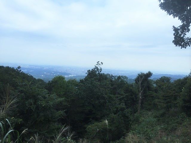 高尾山山頂風景